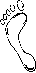 Fot